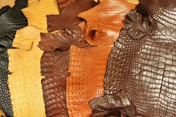 Da cá sấu thật Bình Tân | Đẳng cấp và độc bản 2025