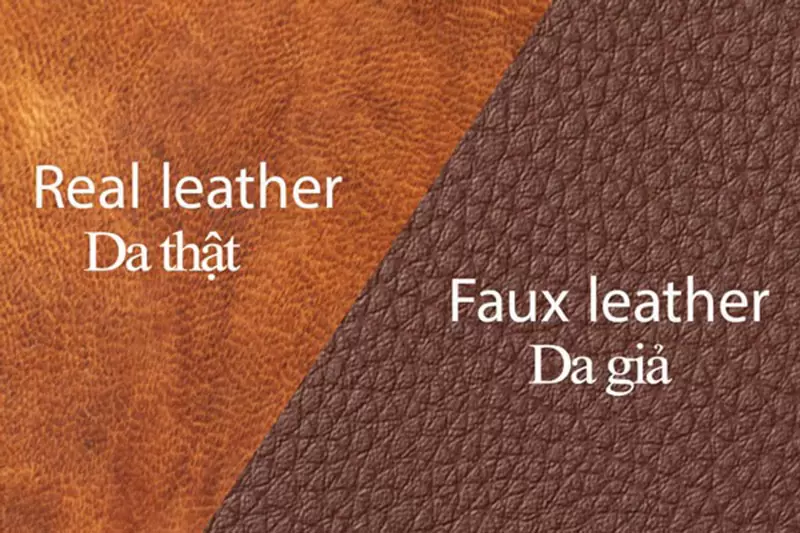 da b&ograve; thật l&agrave; g&igrave; 